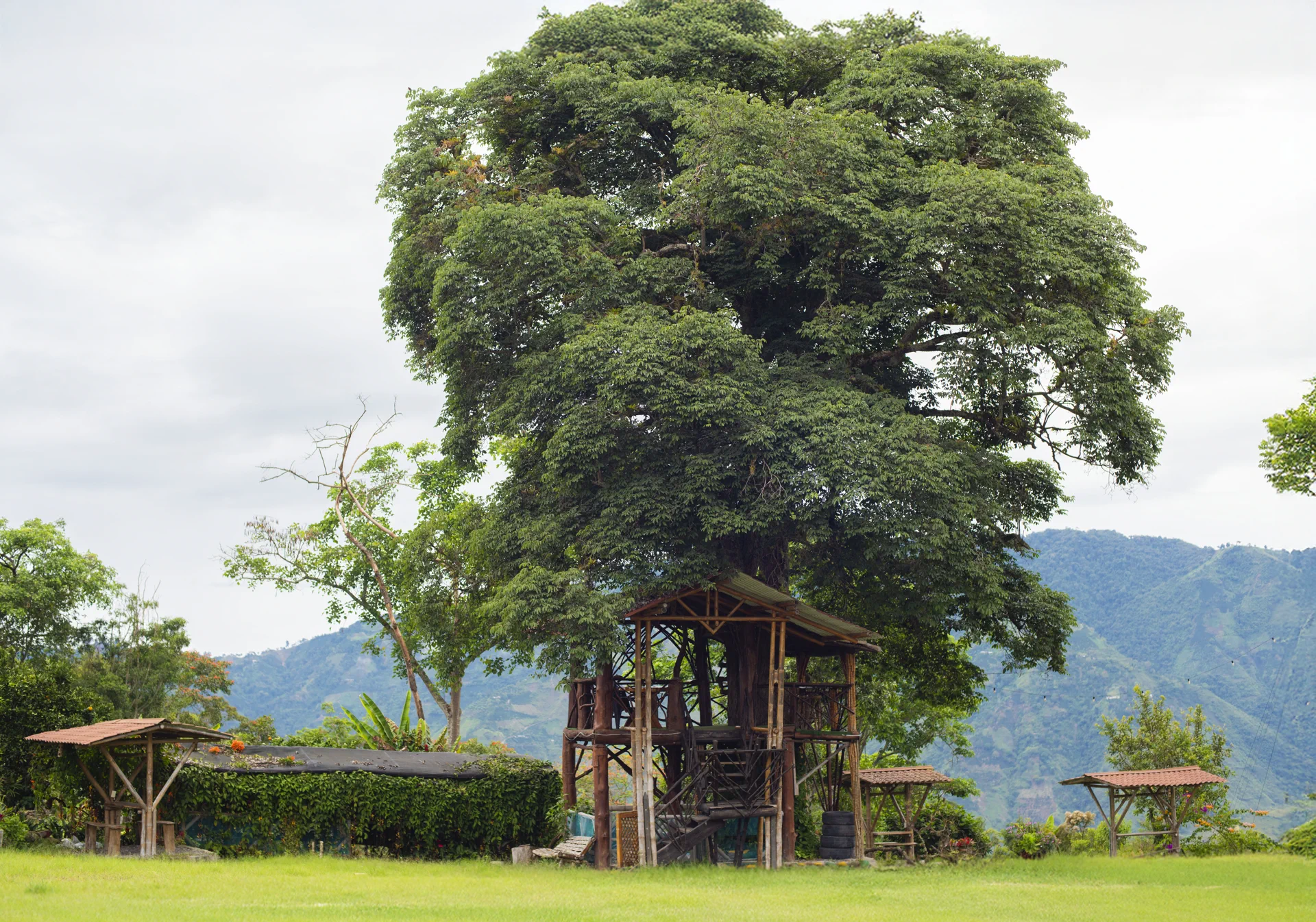 Mirador de madera bajo un árbol, con montañas de Saladoblanco al fondo